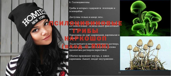 дурь Балахна